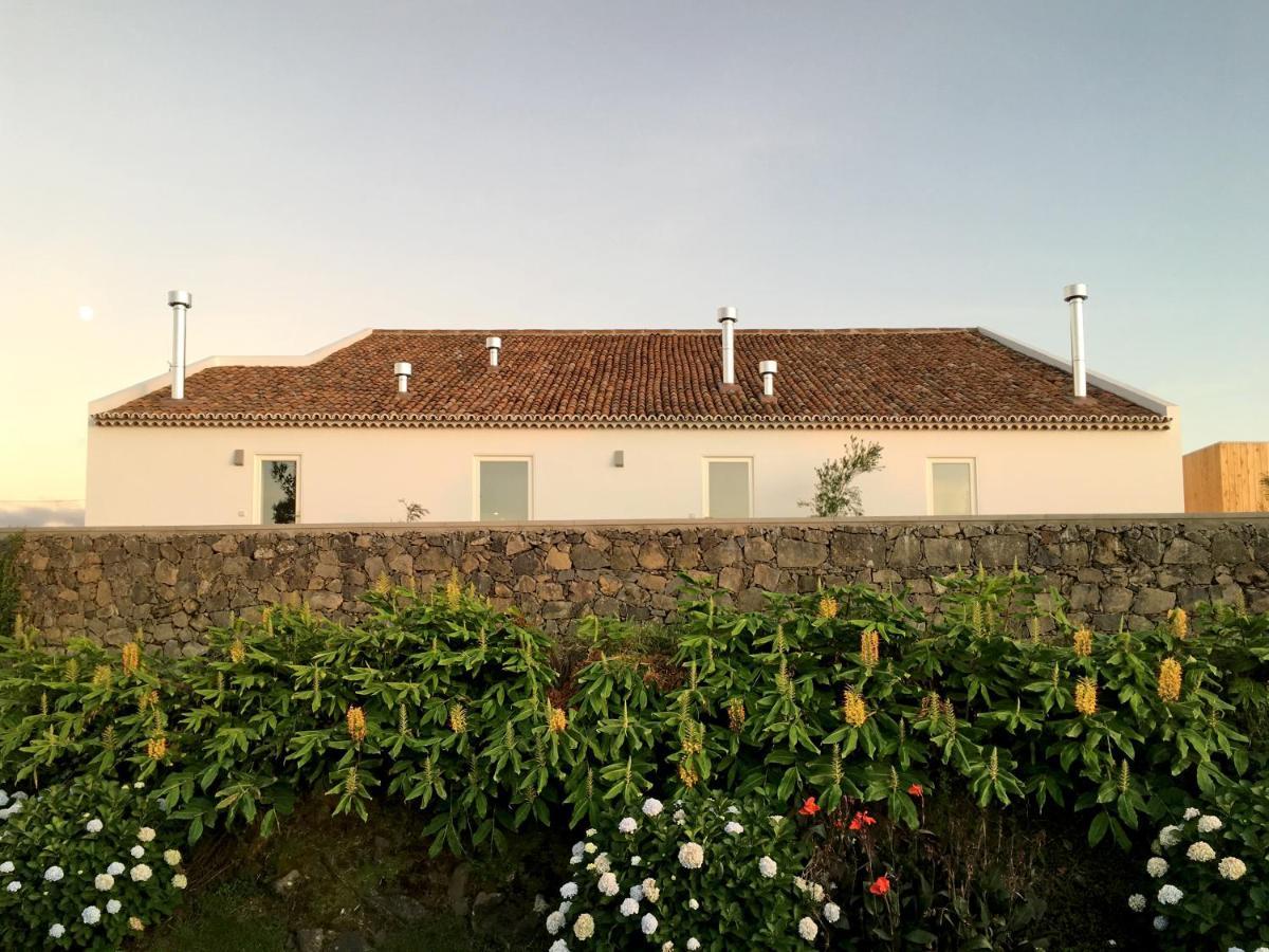 Antiga Fabrica De Cha Guest House Nordestinho Eksteriør bilde